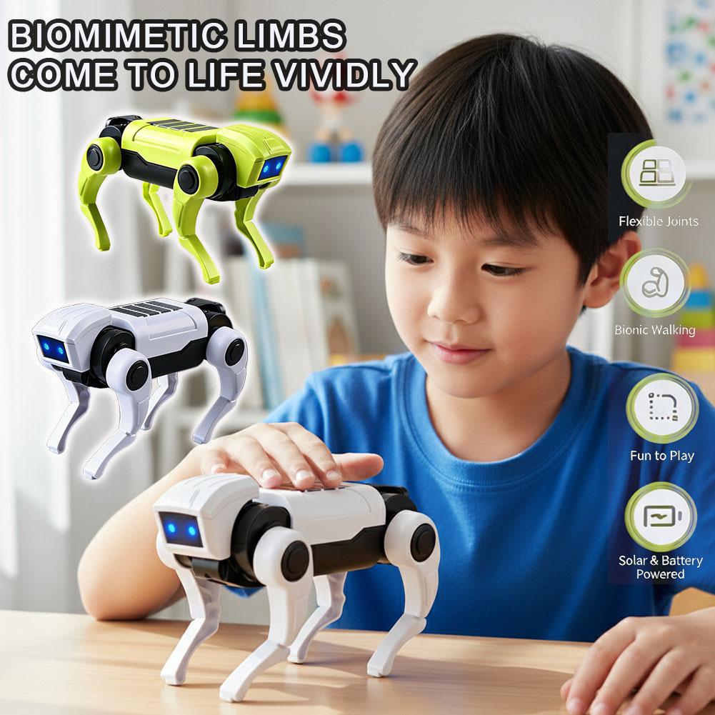 Diy Electronics Kids - Brinquedo Robô Cão RC de Montagem